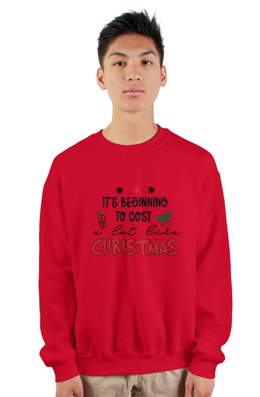 It's beginning to... Christmas Crewneck